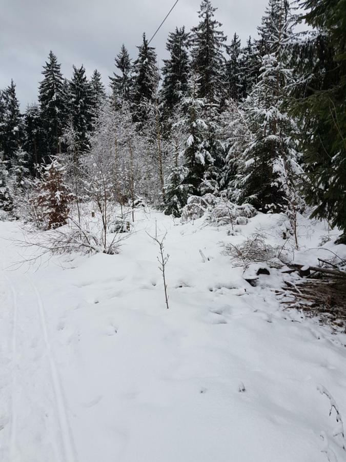 Rosalie - Lake - Hiking&Swimming - Cozy&Nature Winterberg Bagian luar foto